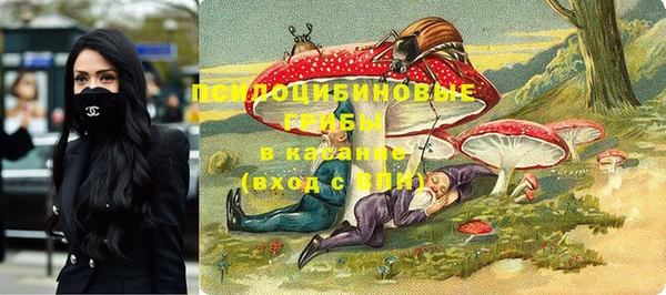 марки nbome Богданович
