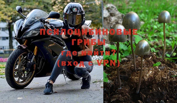 бошки Богородск