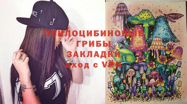 марки nbome Богданович