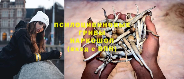 меф Богородицк