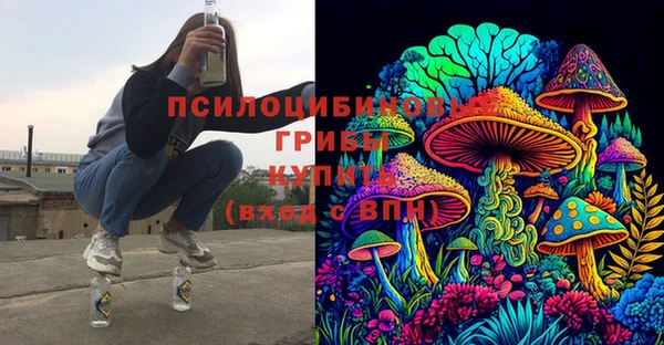 бошки Богородск