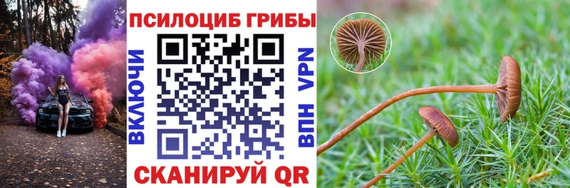 Галлюциногенные грибы MAGIC MUSHROOMS Купить закладки Мичуринск